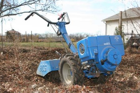 Garlic Planting Time in Kansas Image
